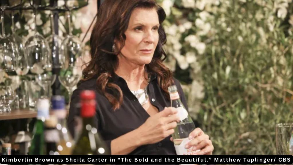 Kimberly Brown as Sheila Carter in "The Bold and the Beautiful"